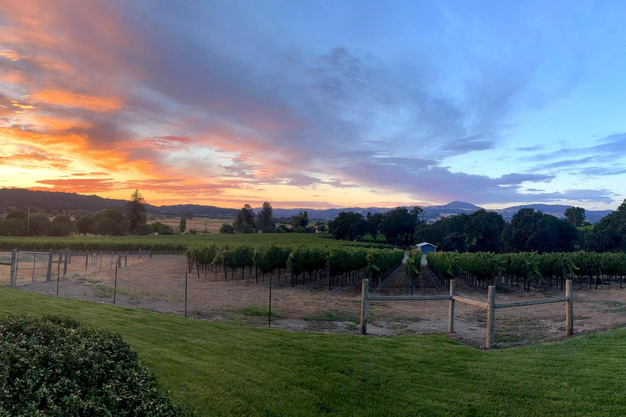 Alexander Valley Retreat Healdsburg Buitenkant foto